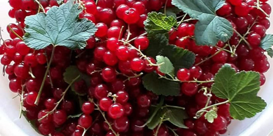 106954812 3241280435895093 5921371993352126158 n