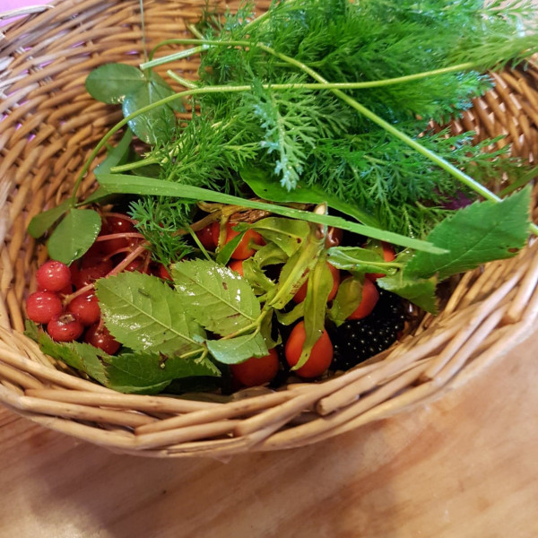 41109619 1985281248161691 9091847828874985472 o